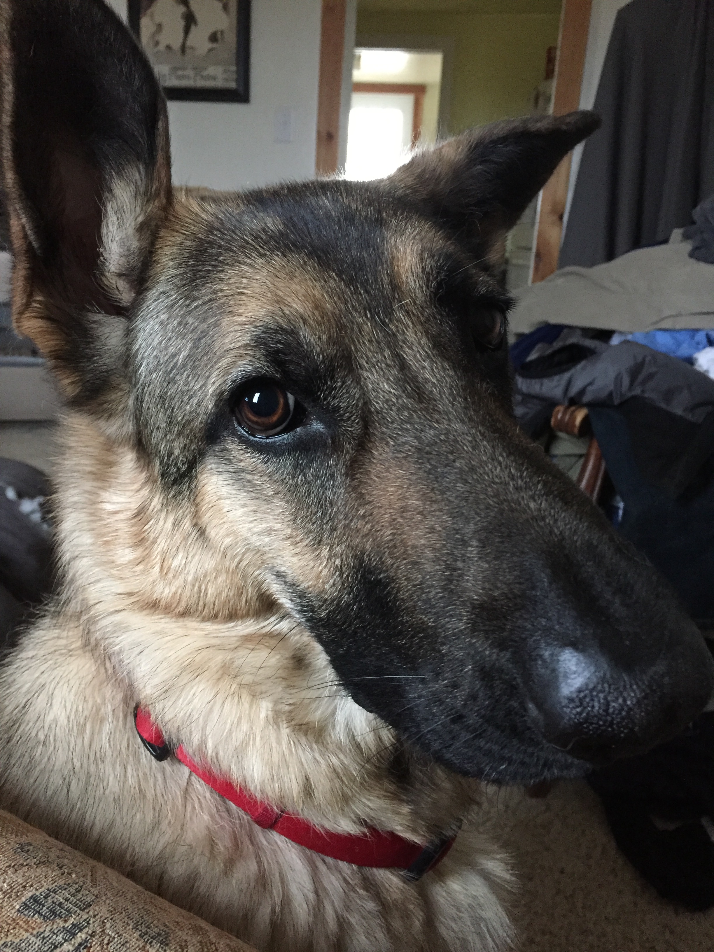 Handsome guy!