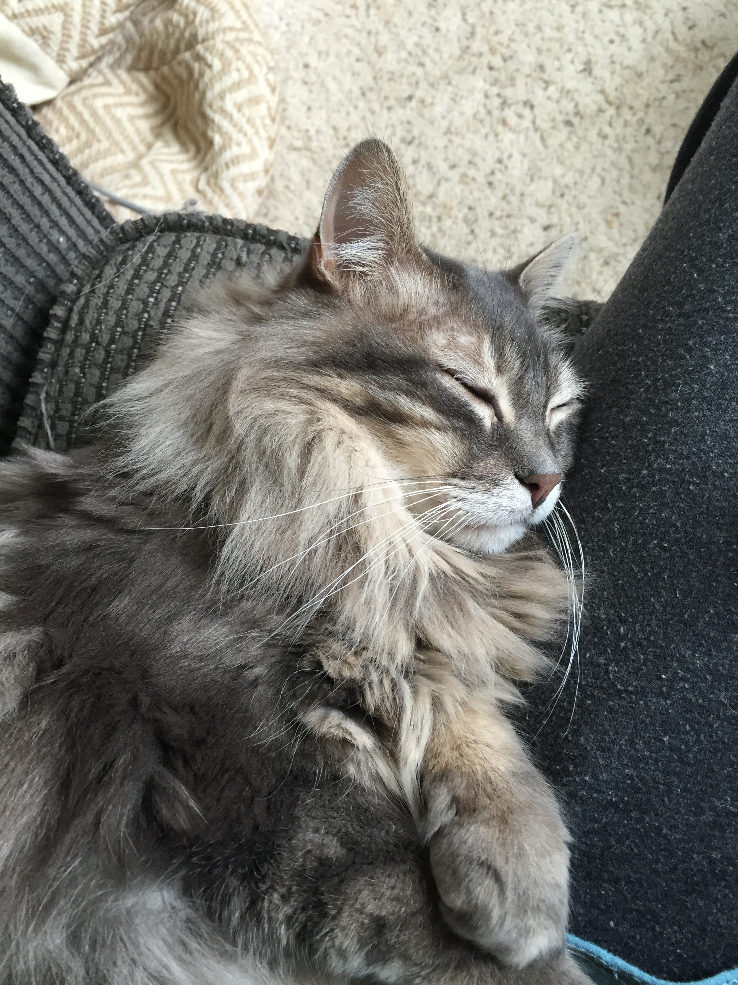Helping me knit