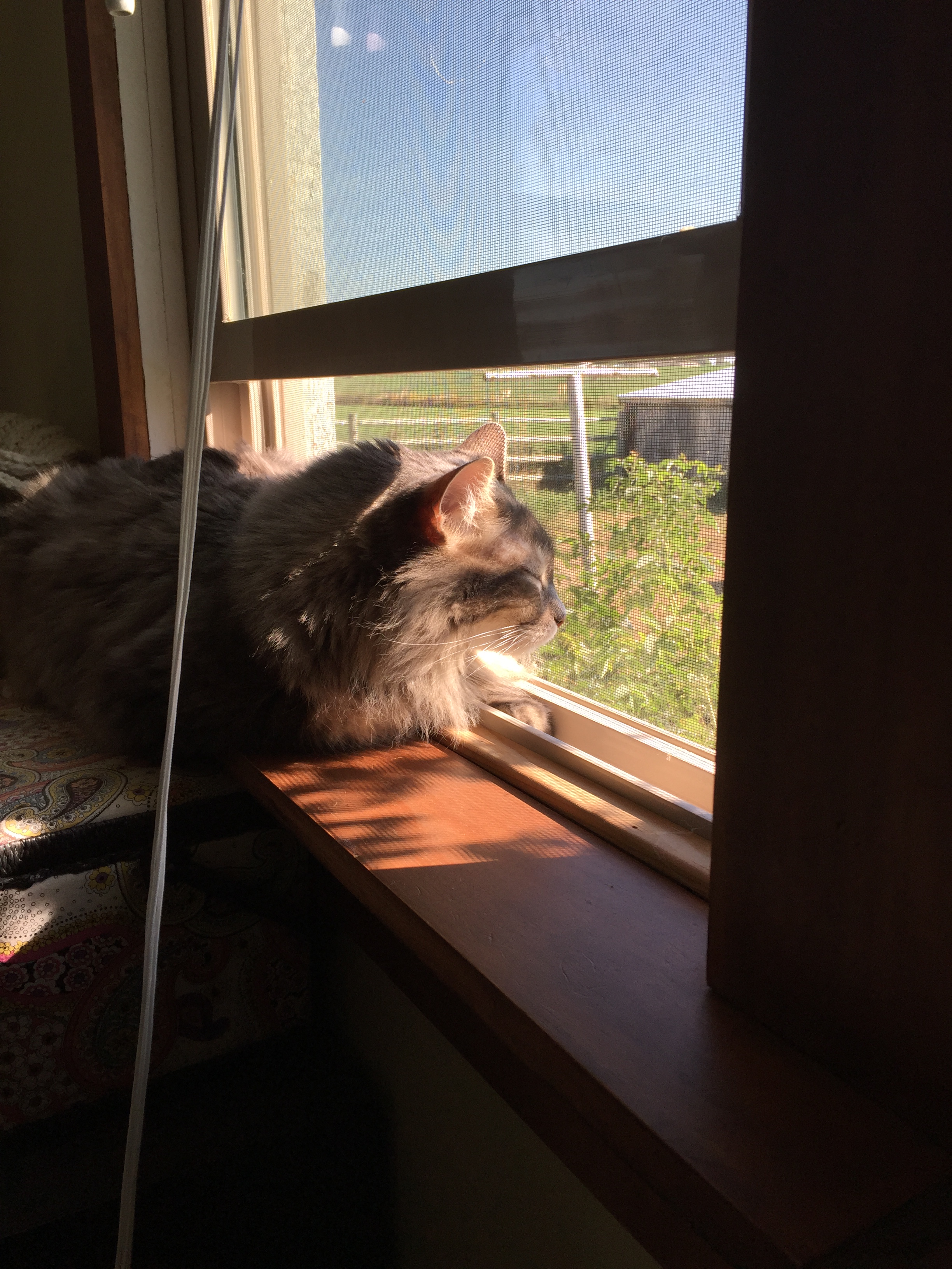 Enjoying the smells on the farm
