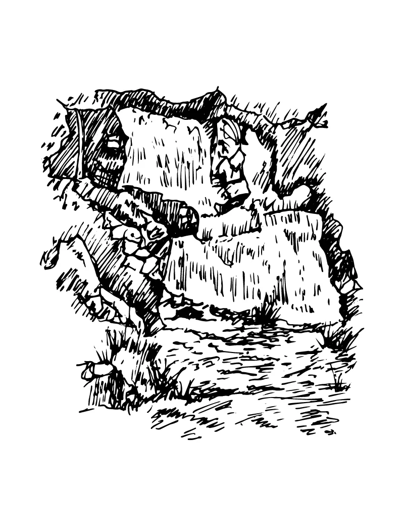 Wishcraft_Apothecary_Bach_Flower__Rock Water.jpg