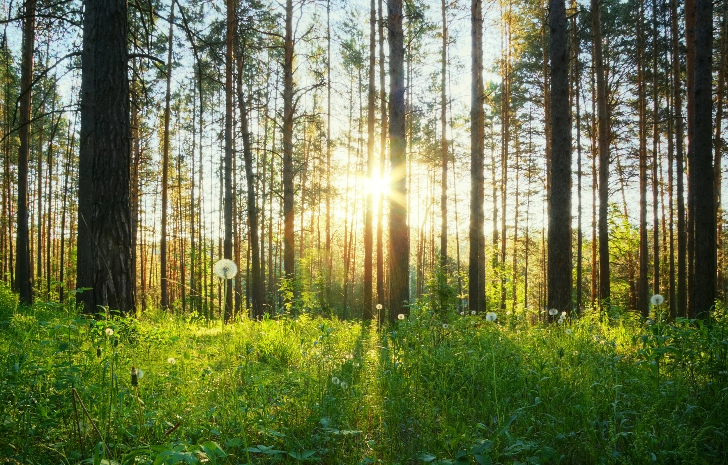 shutterstock_651937123.jpg
