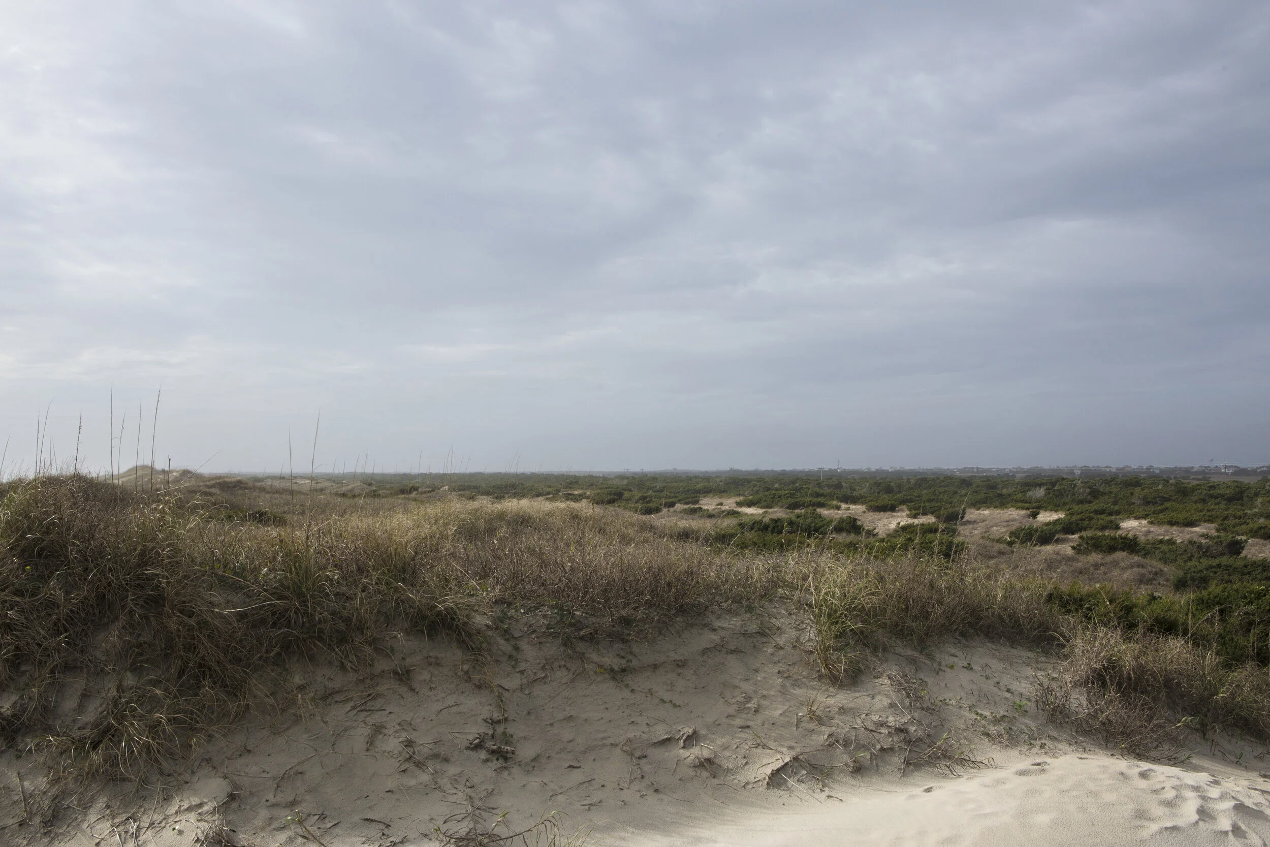 Dunes are the physical manifestation of wind