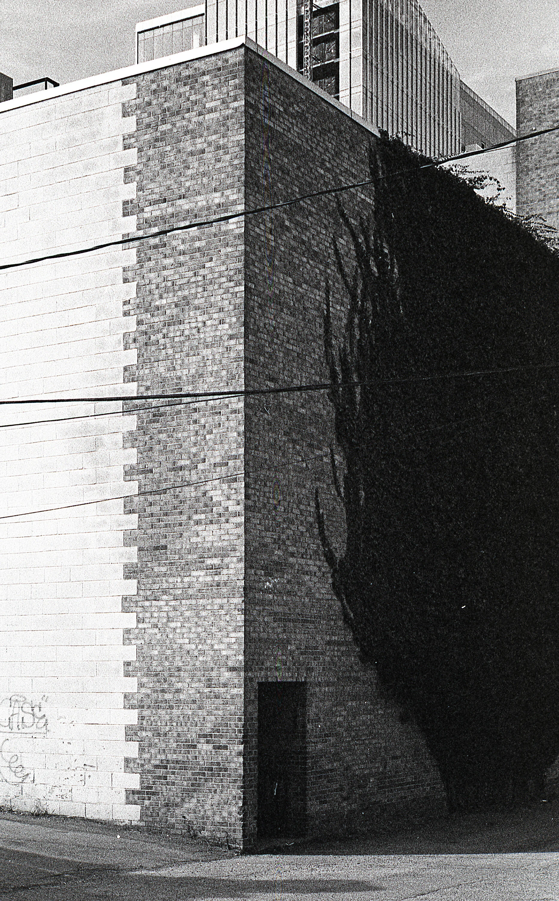 img_grain_ice_0242_edit_web.jpg