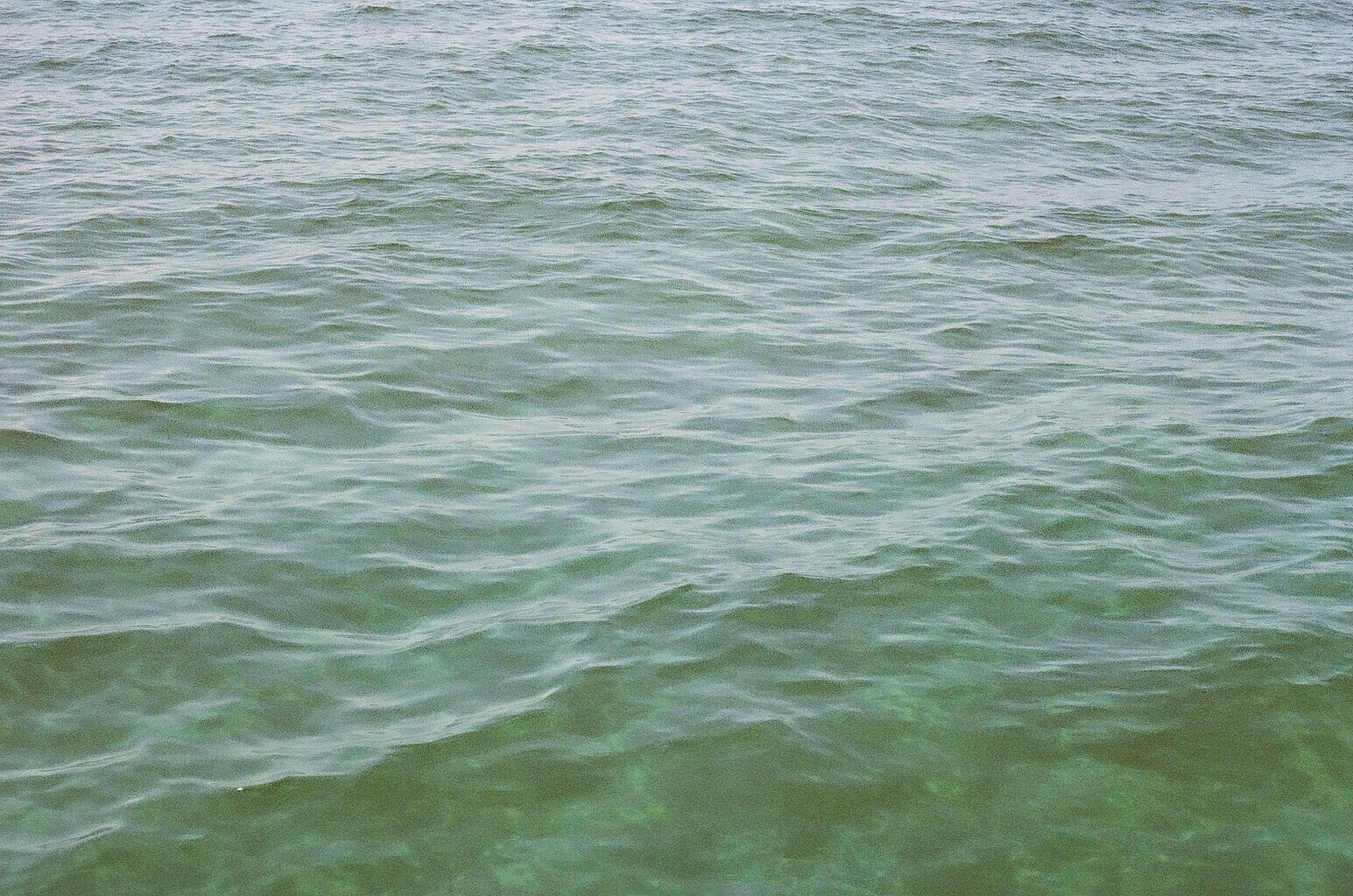 76820013.jpg