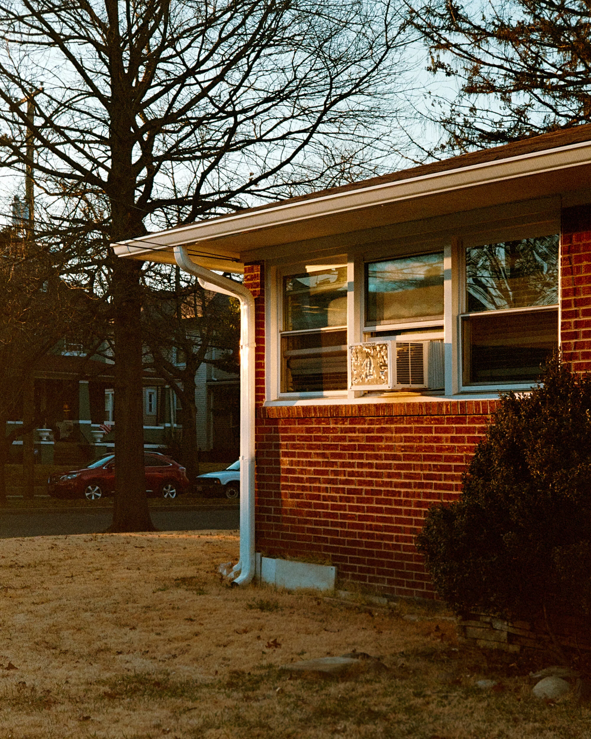 SSP_123703w.jpg