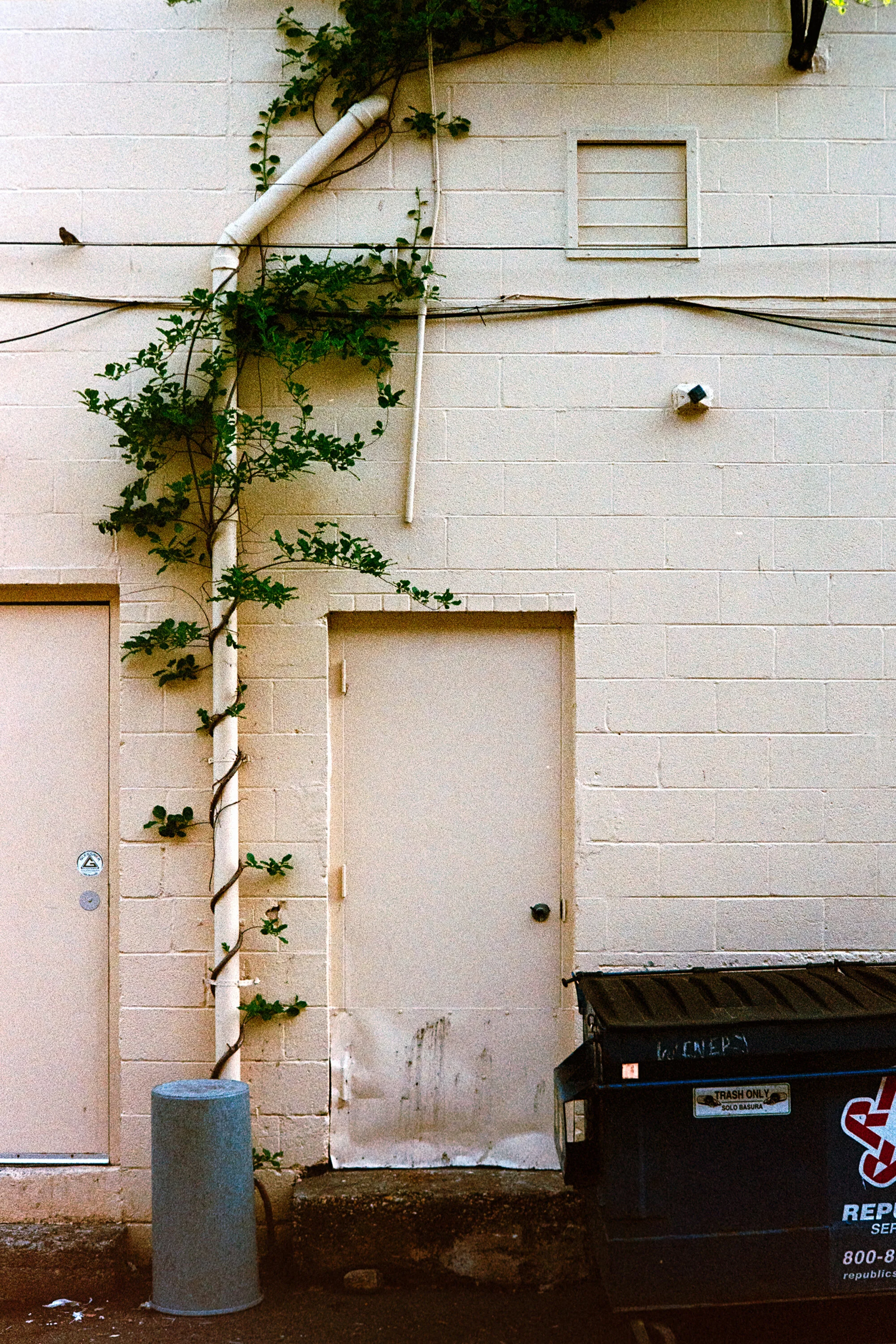 SSP_123676w.jpg