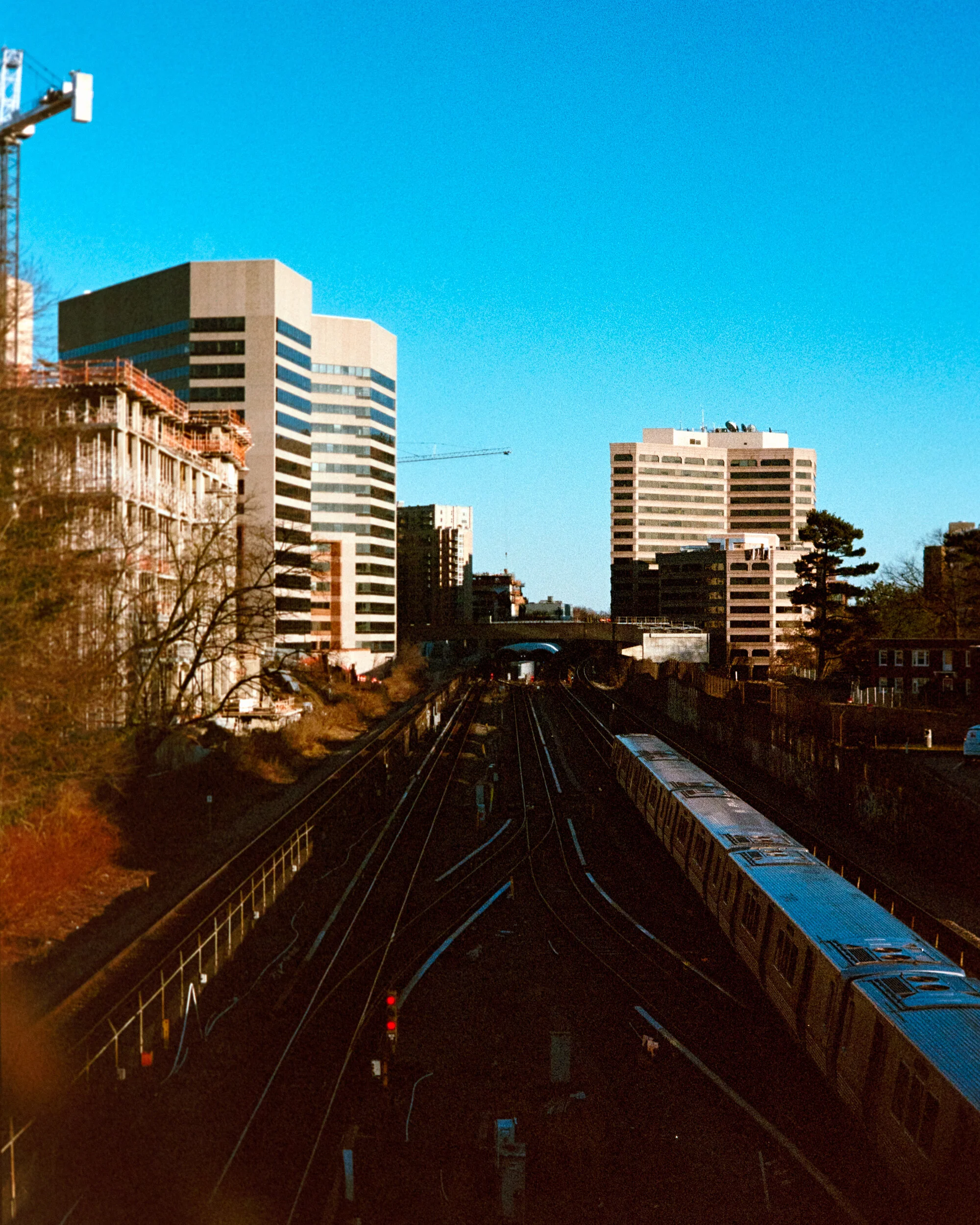 SSP_123613w.jpg