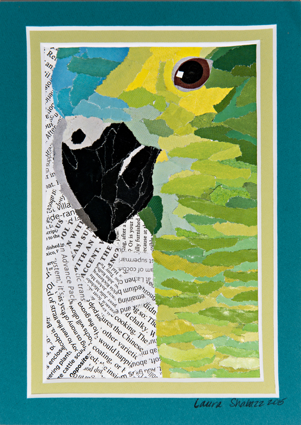 Parrot, magazine paper collage, 5×7 with mattes