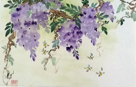 Wisteria Watercolor & ink, 15″x23″