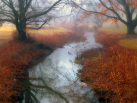 Dream II Digital Photograph