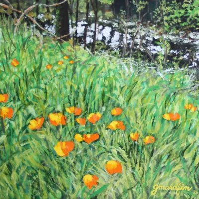 California Poppies on the Santa Rosa Creek Trail 12"x12", acrylic on black canvas