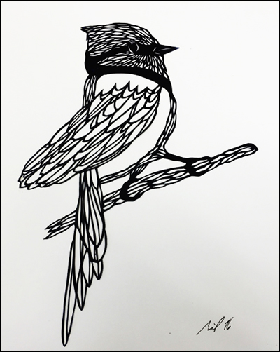 Cardinal 11″x9″, hand cut single sheet black paper mounted on white