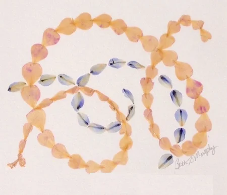 Zen Petals Pressed rose and delphinium petals, 11"x14"