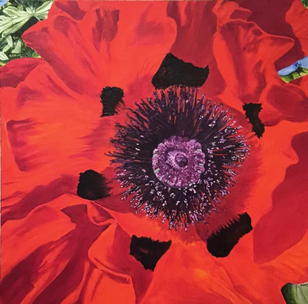Poppy Oil on canvas, 24"x24"
