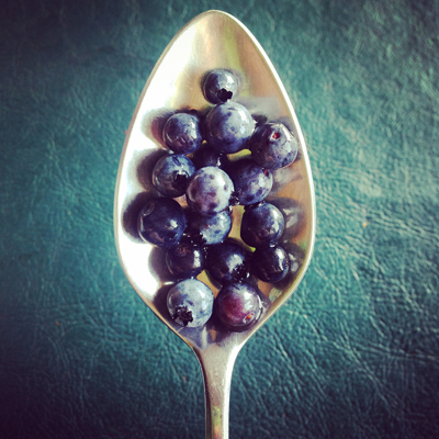 Blueberry Spoon Photograph on metallic paper