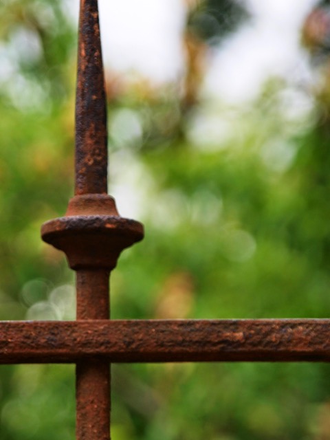 Rusted in Paris