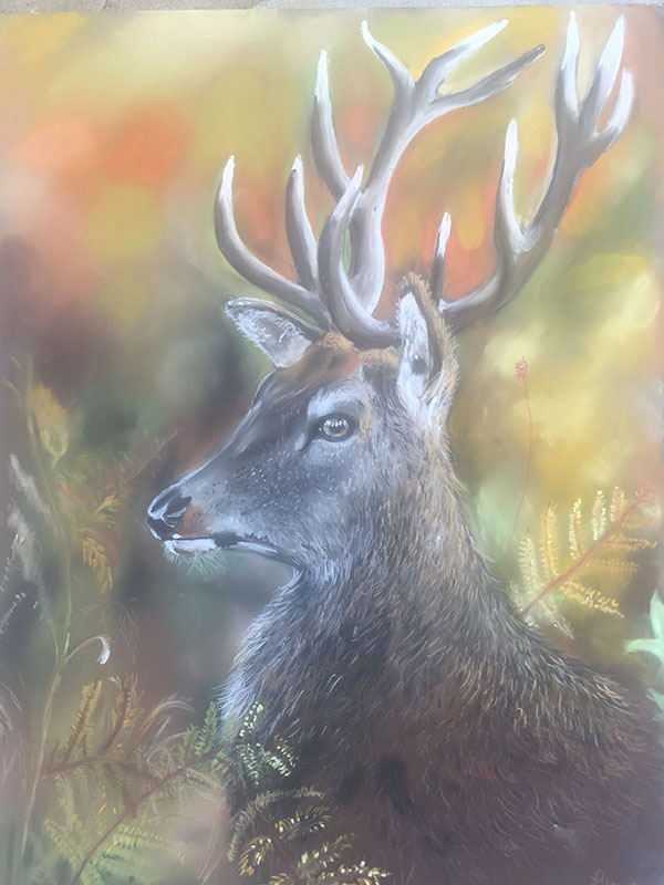 Stag in Autumn Pastel
