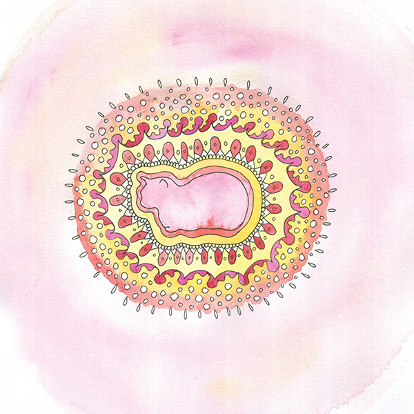 “Mandala in the Morning”