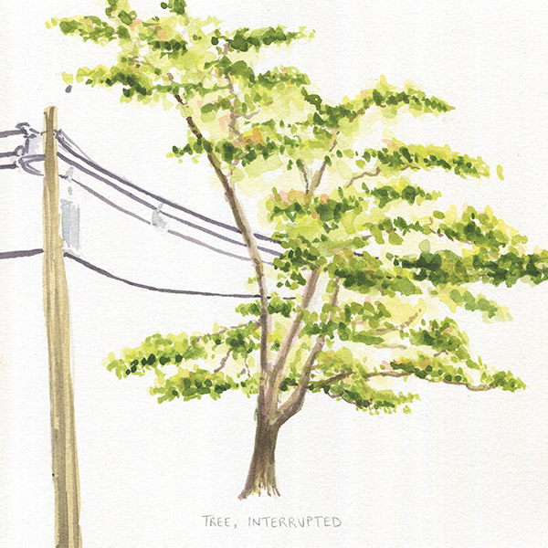 “Tree, Interrupted”