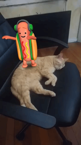 Giphy.gif