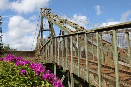 swinging bridge, Hanapepe.