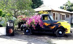 Truck by local artist, Gregorio, Hanapepe