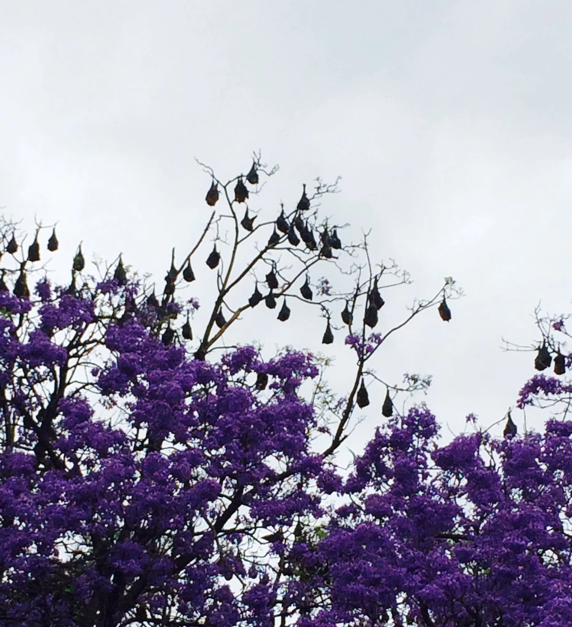 Attention sleepers. Come out and be proud.