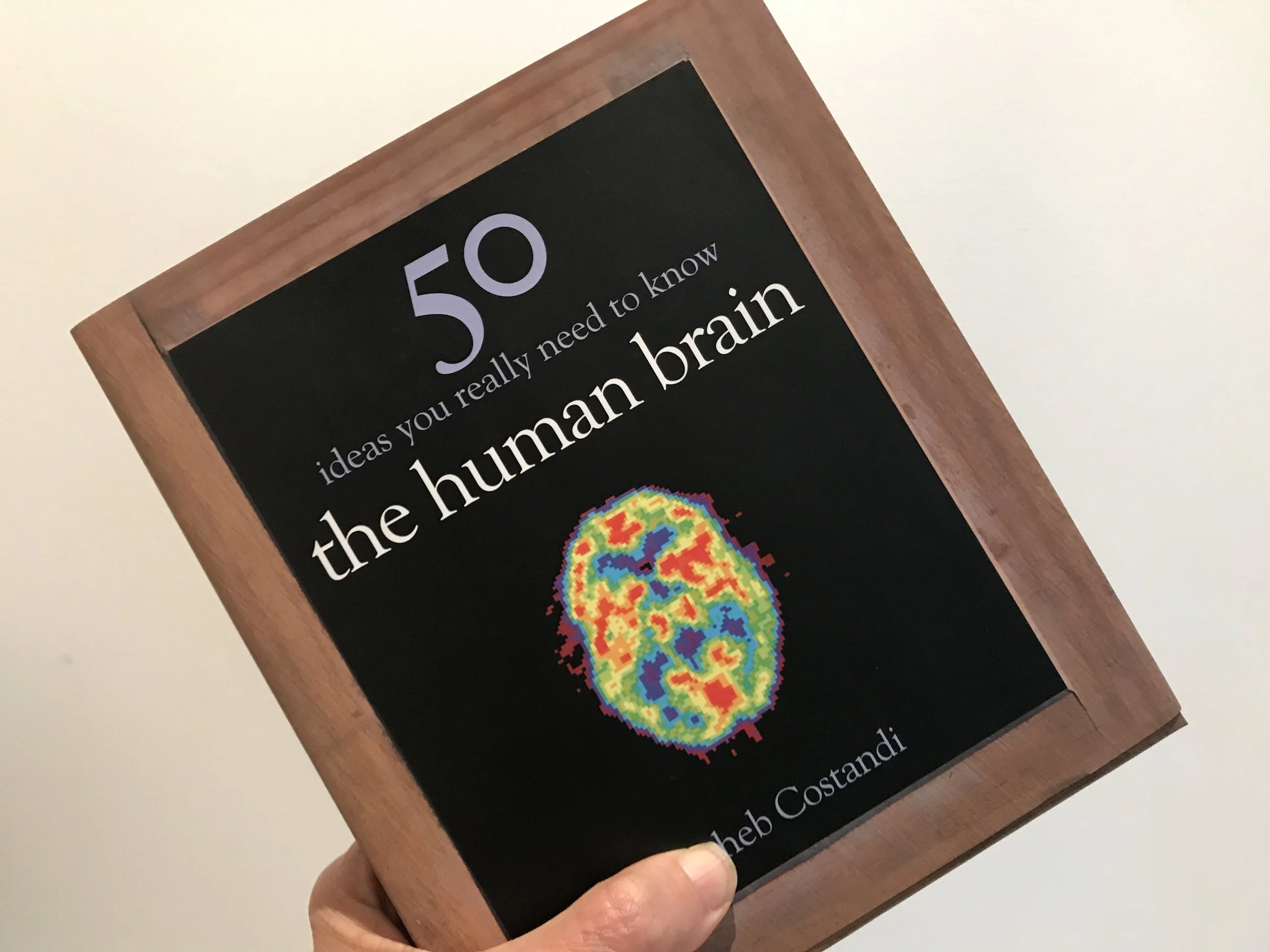 50 Ideas You Really Need To Know: The Human Brain