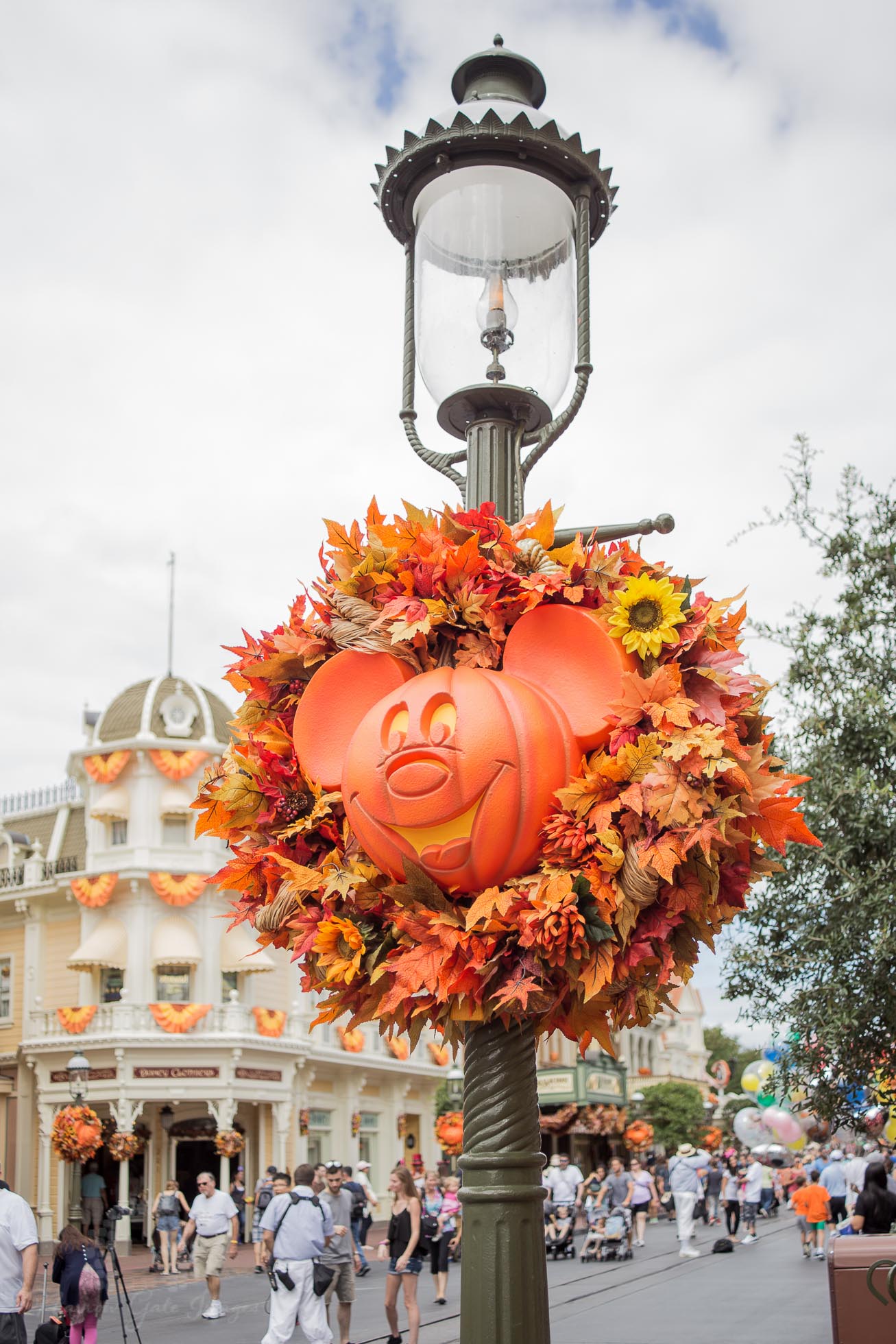 Disney-18.jpg
