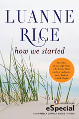 How We Started (ebook)