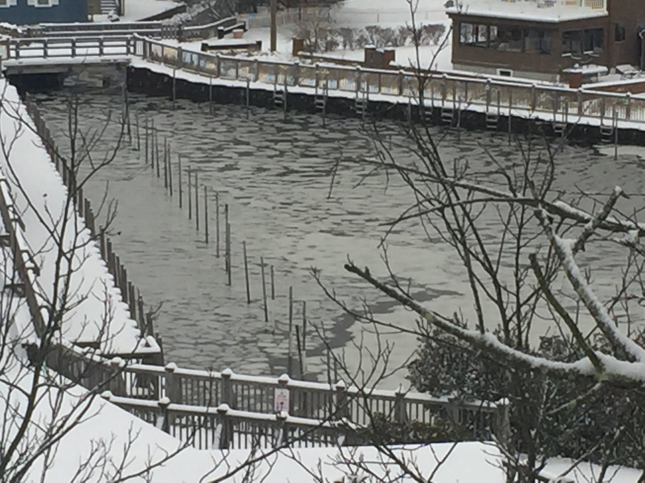ice on the boat basin