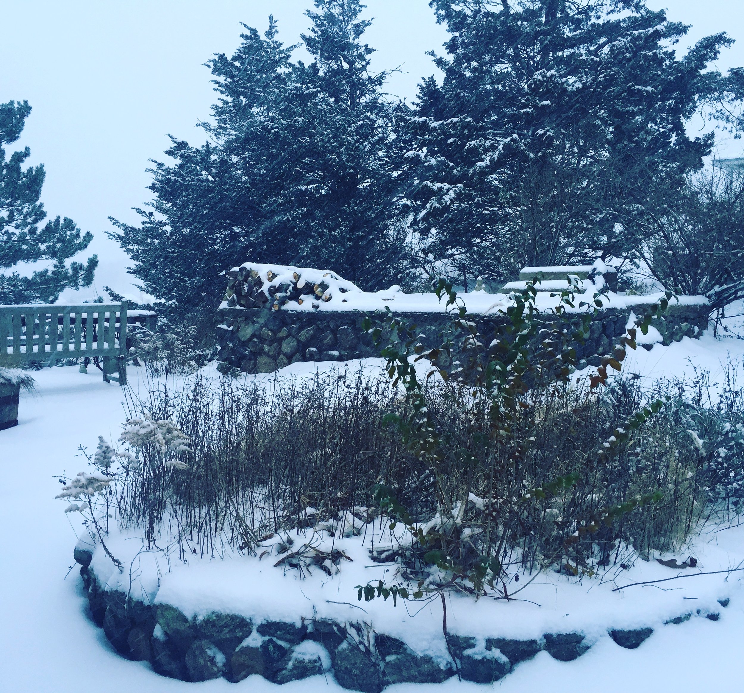 the herb garden during the storm