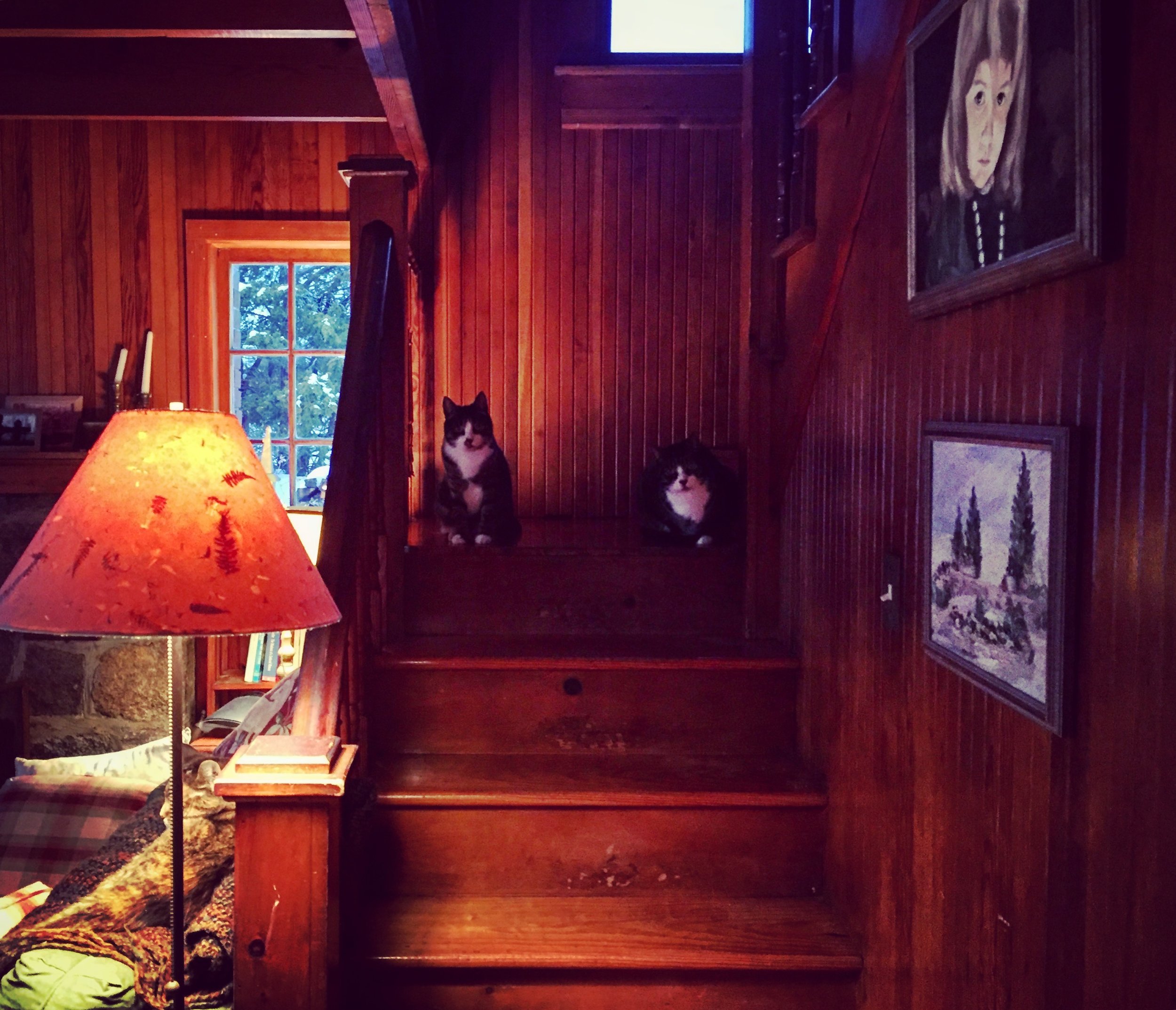 waiting at home, after my walk...