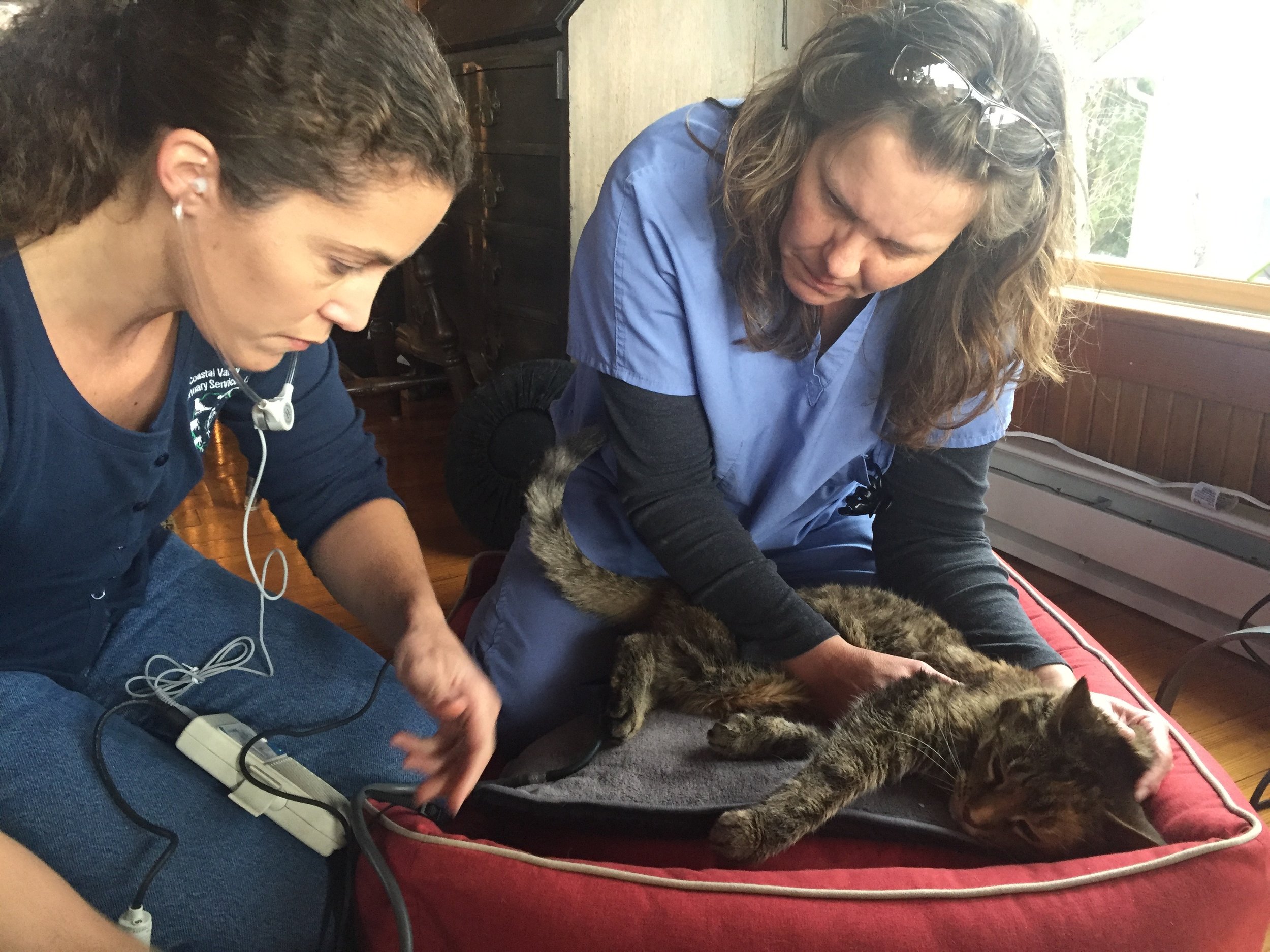 Dr. Hall and assistant Tammy. We are so thankful for all their care.