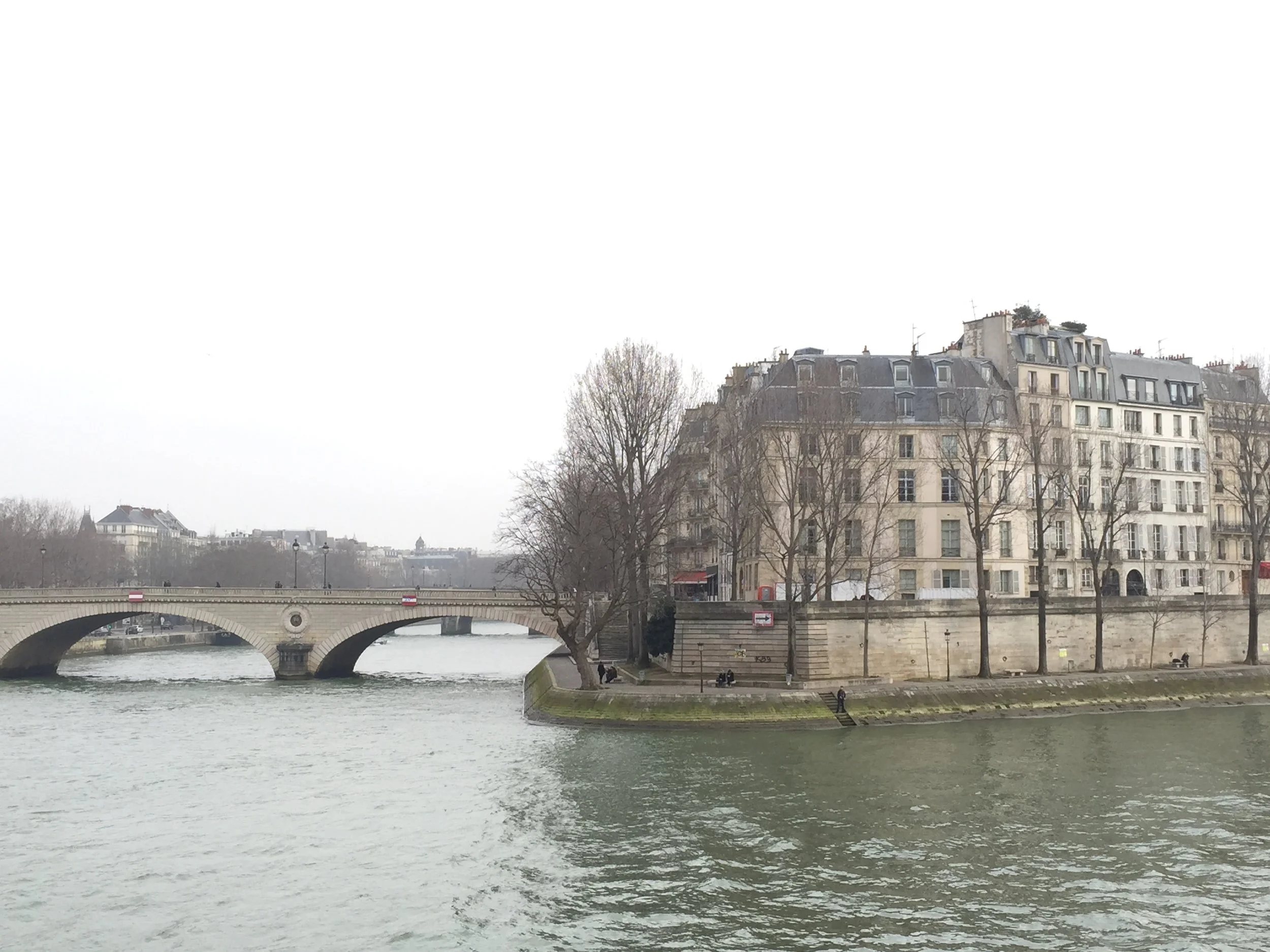 Paris in winter