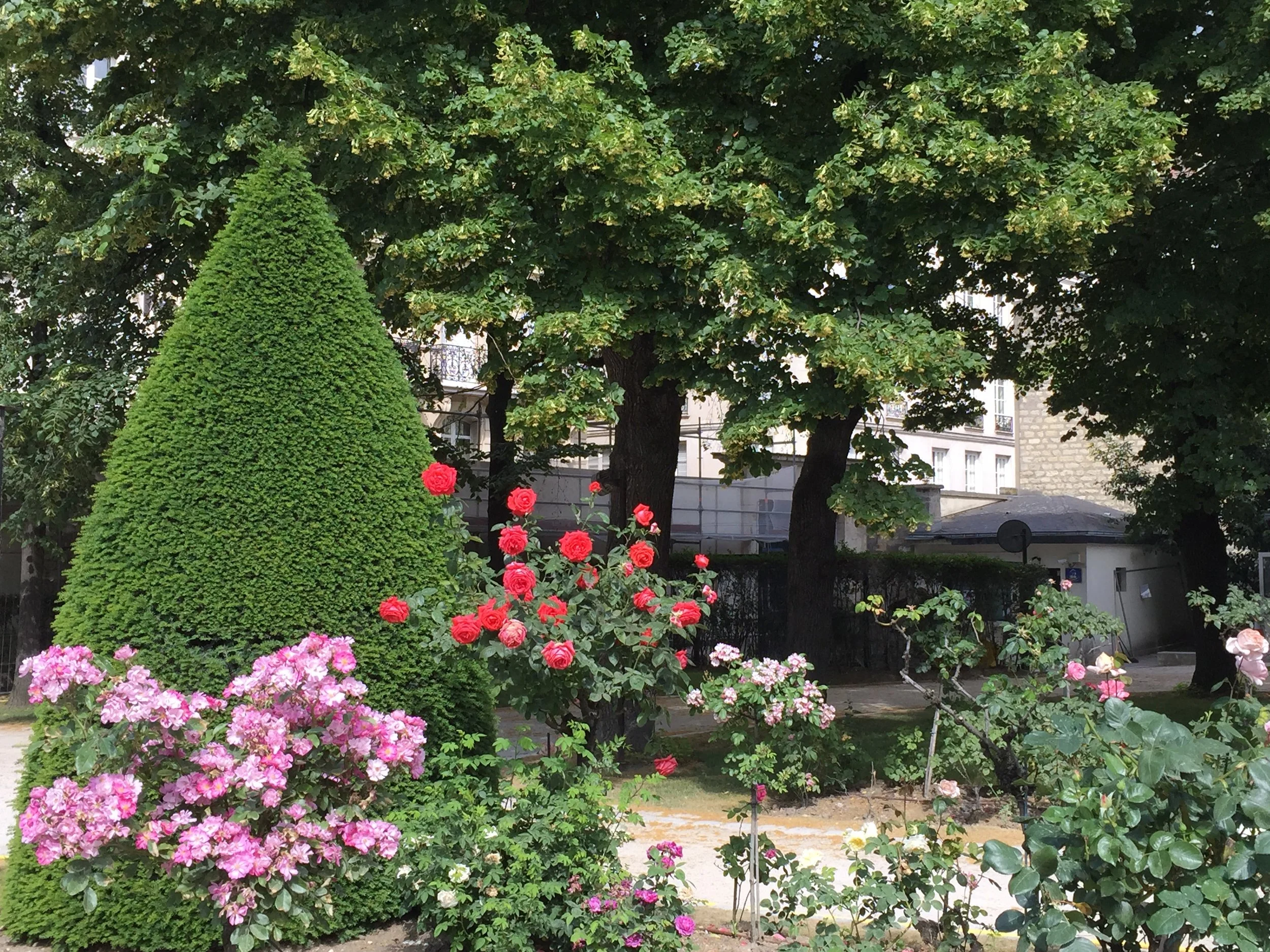 The Musée Rodin in June