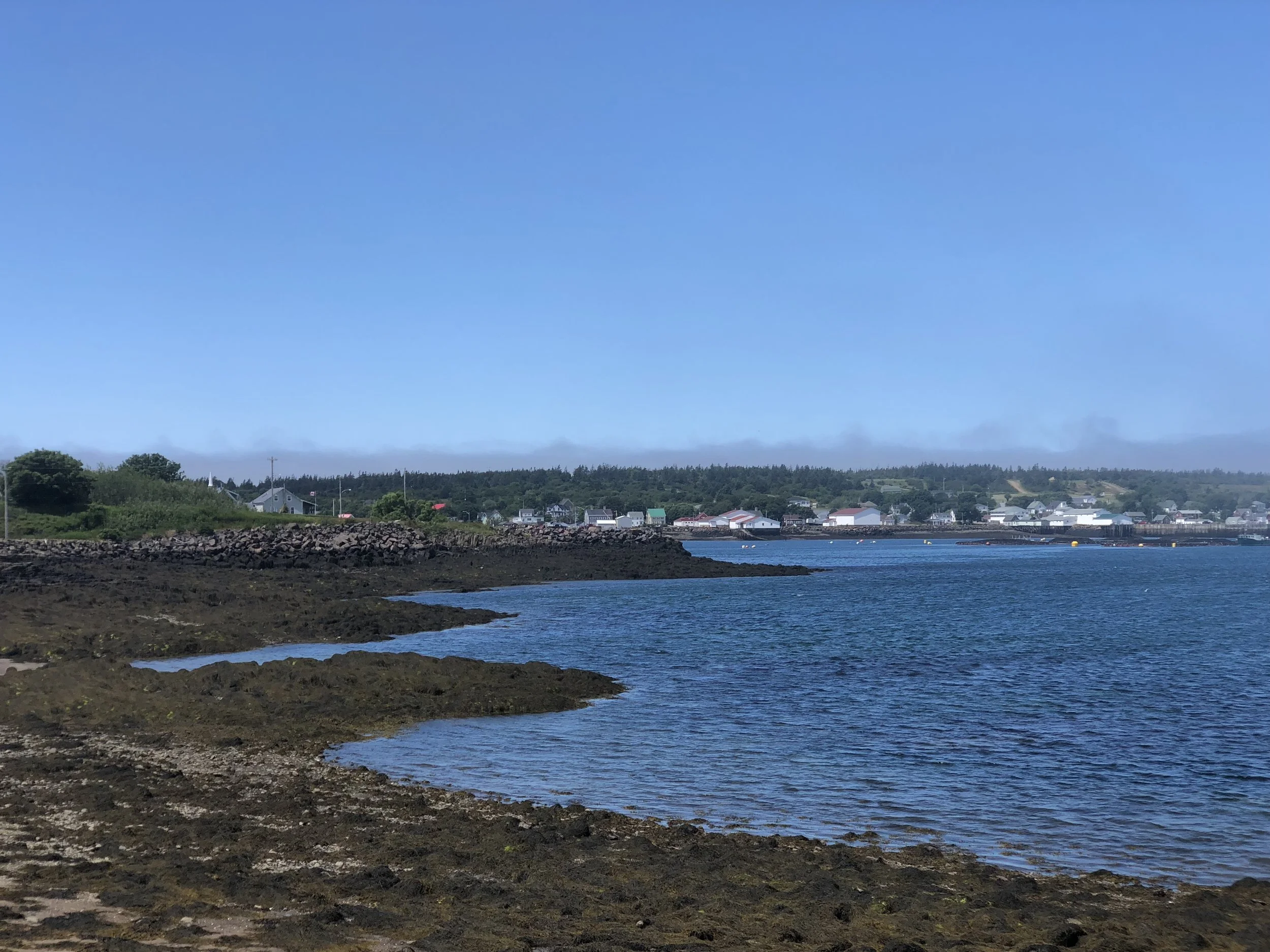 Brier Island as the fog clears--I love the receding fog bank, lilac, in the distance.