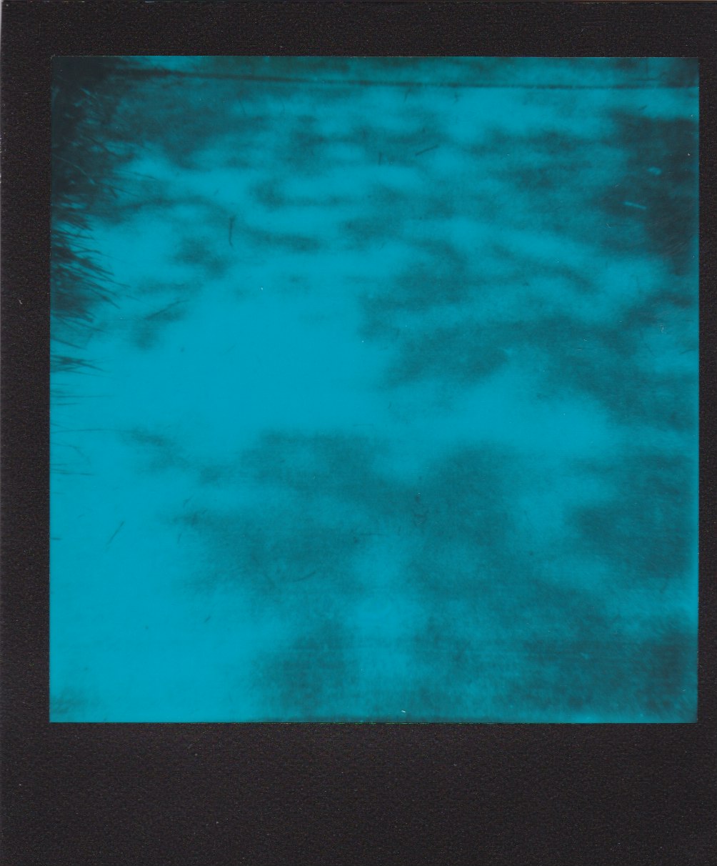 Scan 23.jpeg