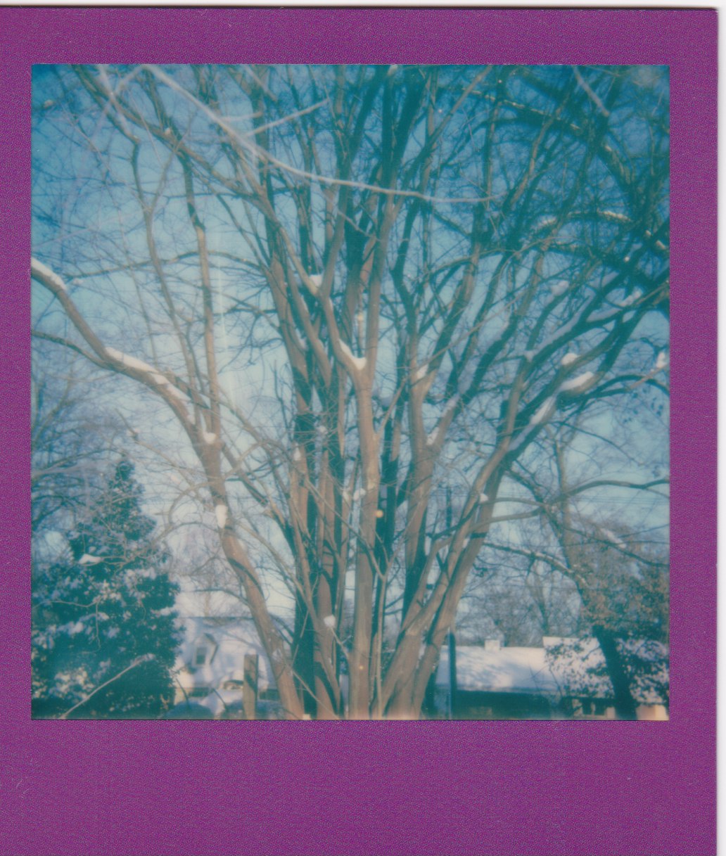 Scan 104.jpeg