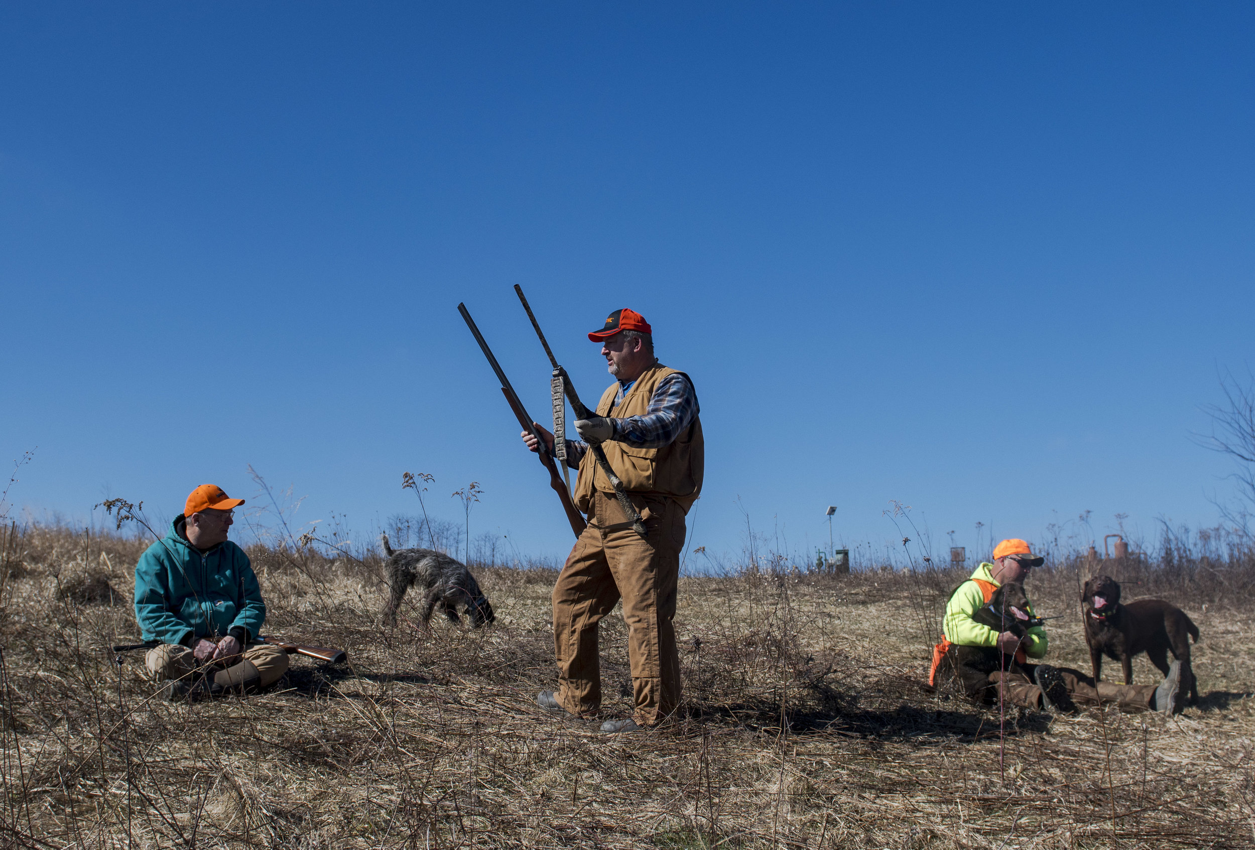  Hunters, dogs and guide take a quick breather in the middle of their hunt. They have been walking up and down hills all morning through brush looking for pheasant, quail and chucker to shoot. 