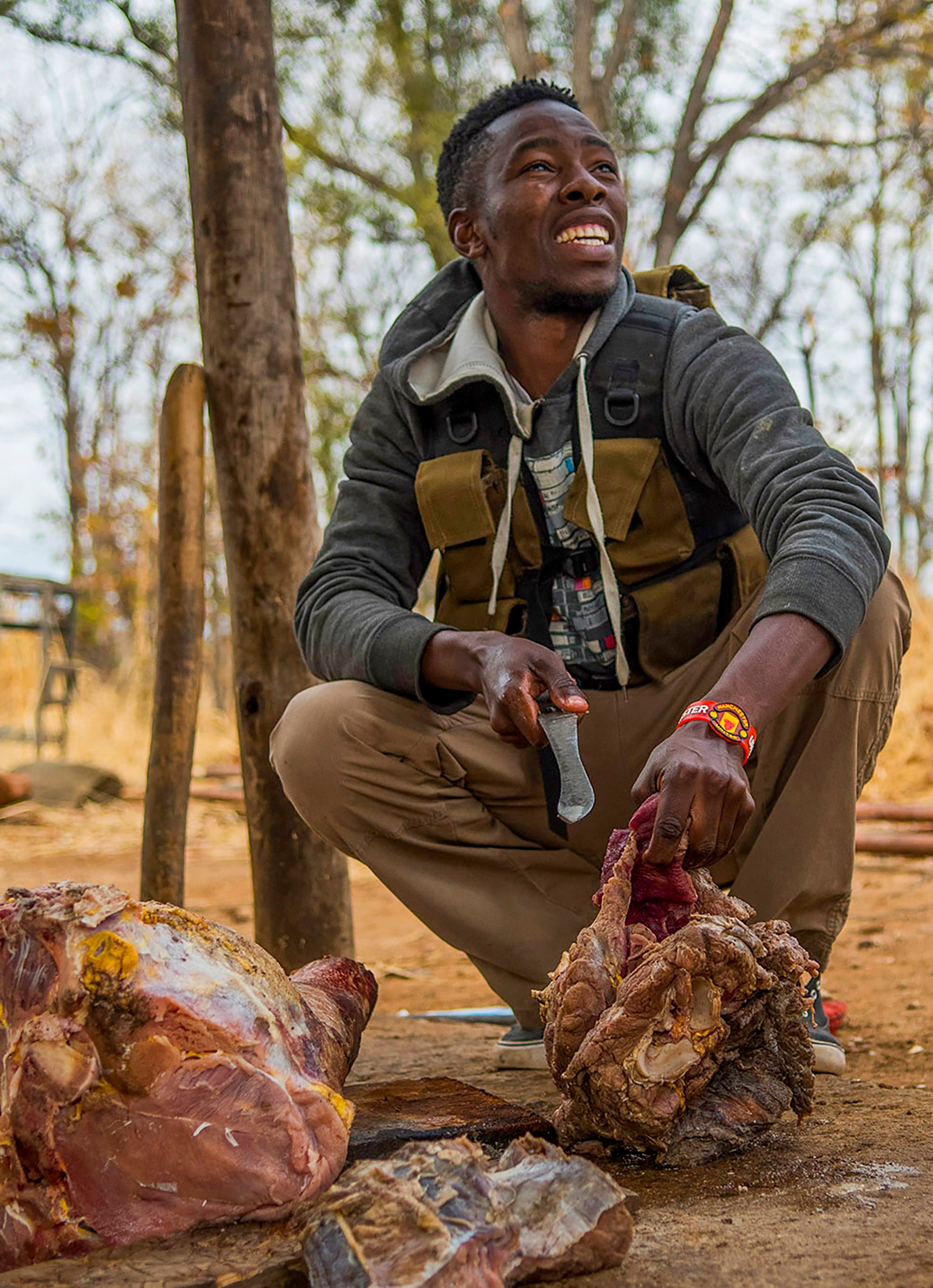  Zebra is a favorite meal for the cubs and was donated by a local hunting reserve. Most of the lion cub's meals are donated meat from hunts or fresh roadkill. 