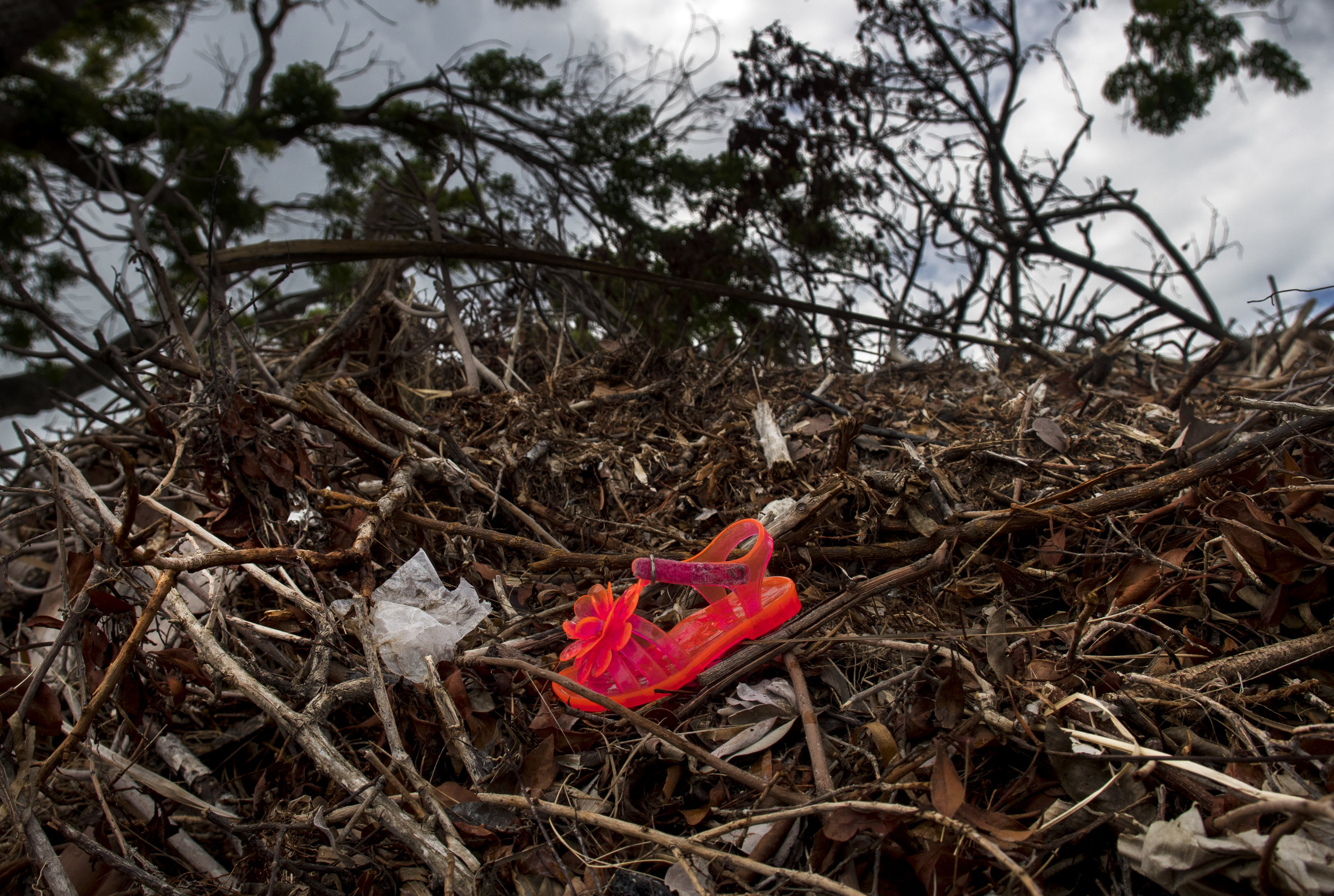  Trash and debris cover the Florida Keys, ranging in size from this tiny children's shoe all the way up to cars and large boats. 