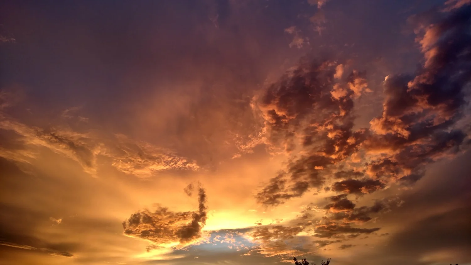 sunset for squarespace.jpg