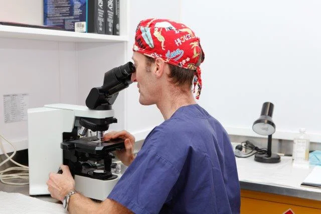 Dr Ben Tallon, Internationally acclaimed Skin Cancer and Mohs Surgery expert