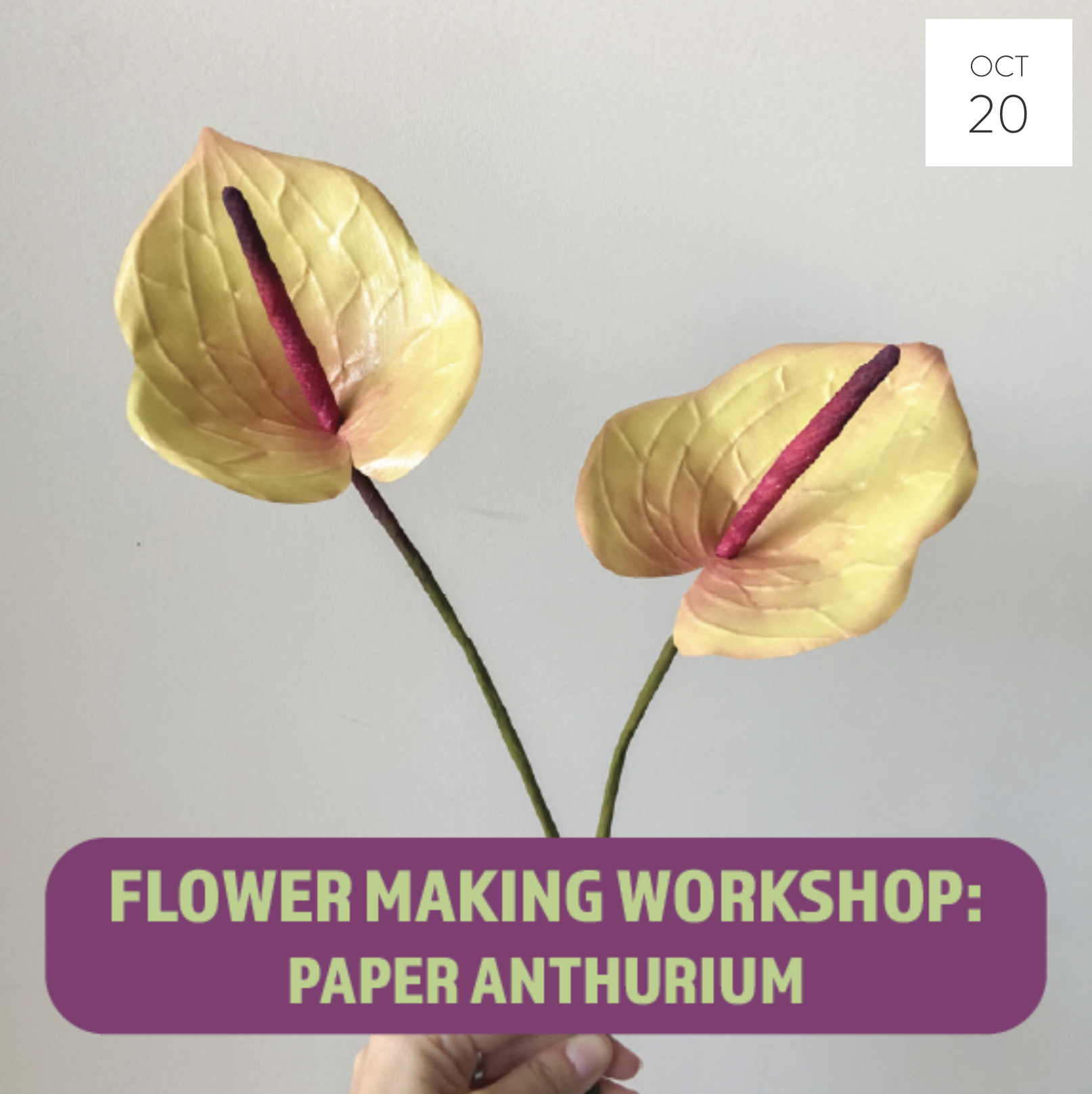 BEGINNERS PAPER ANTHURIUM MAKING WORKSHOP
