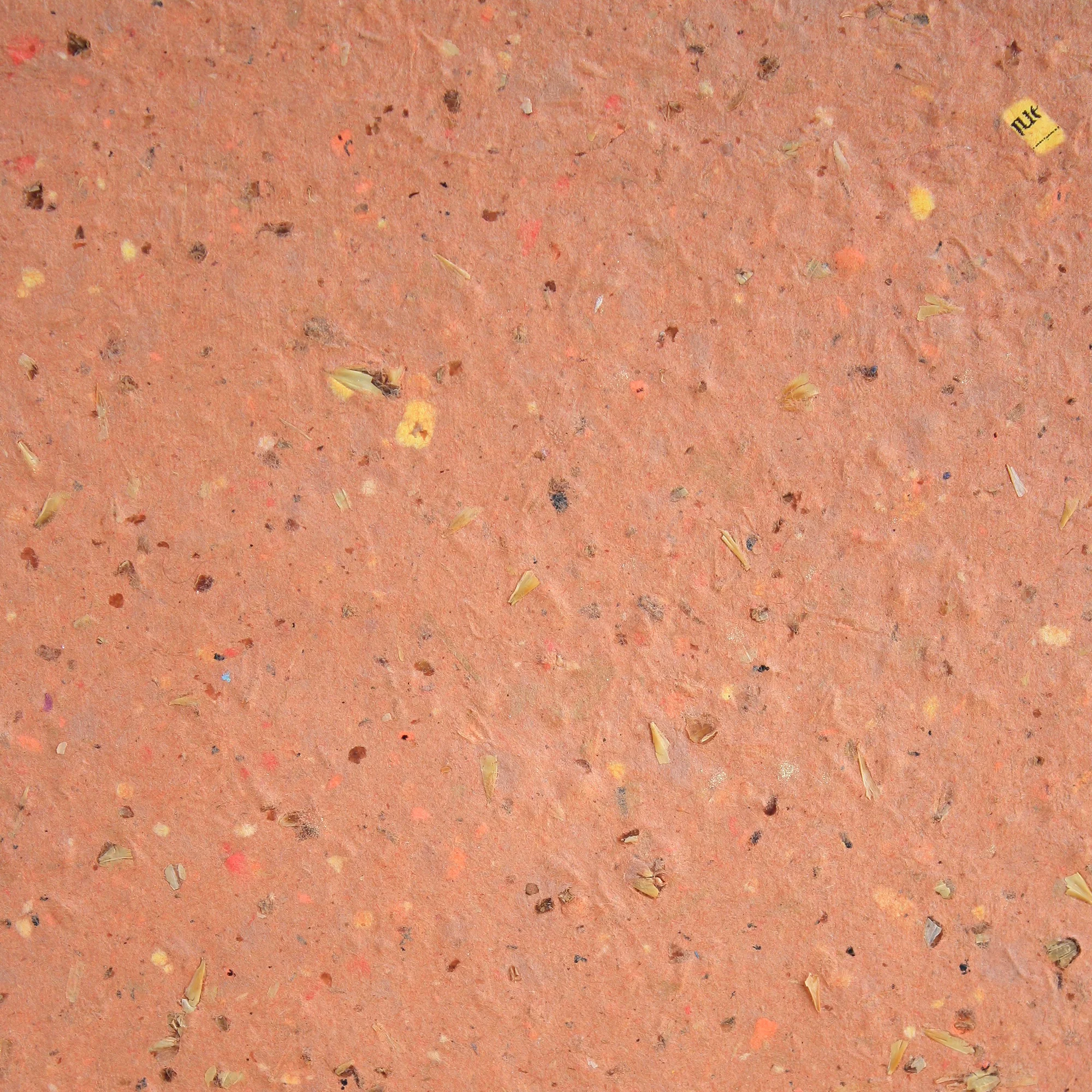 AMBER-BEER-CLOSE-UP.jpg