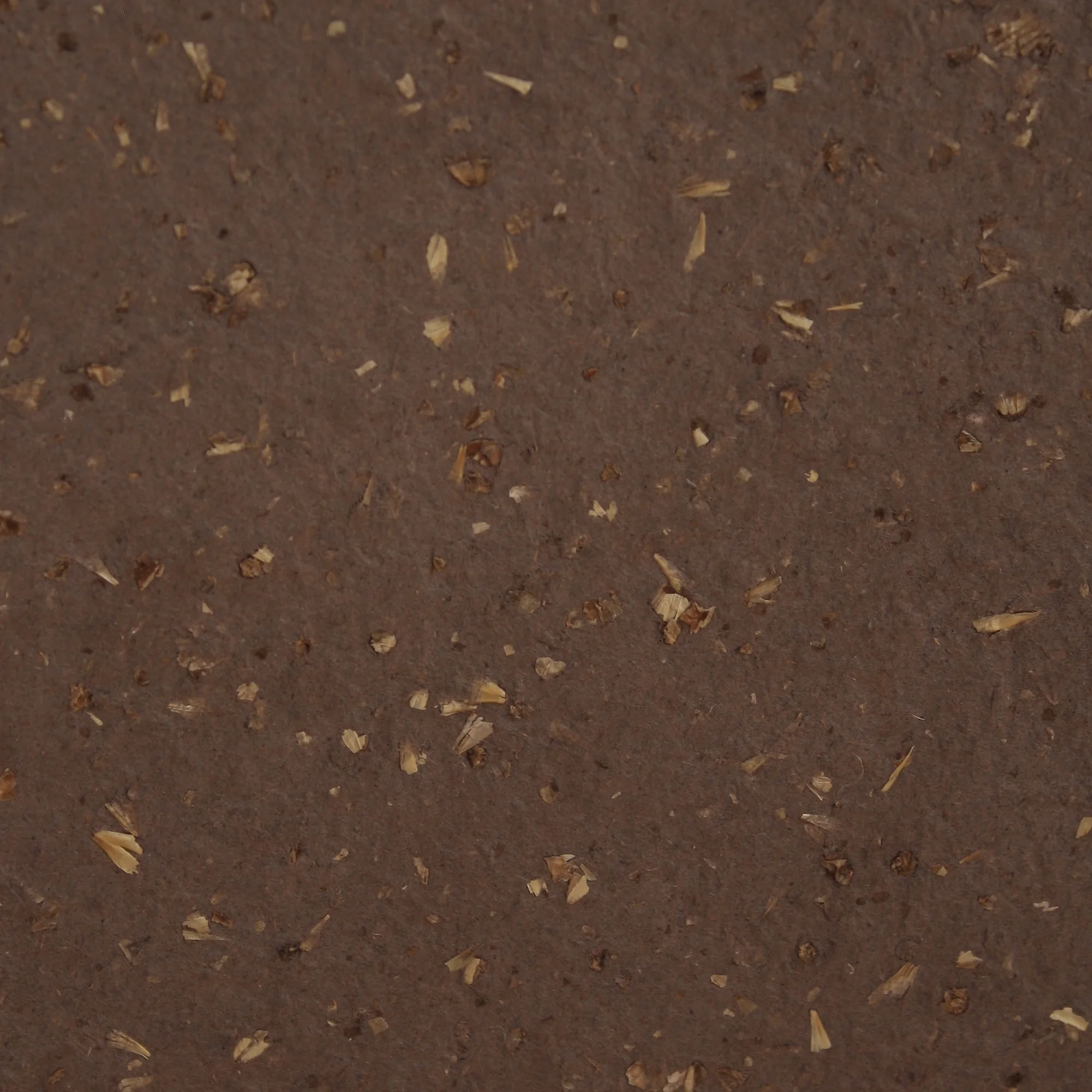 CHOCOLATE-STOUT-CLOSE-UP.jpg