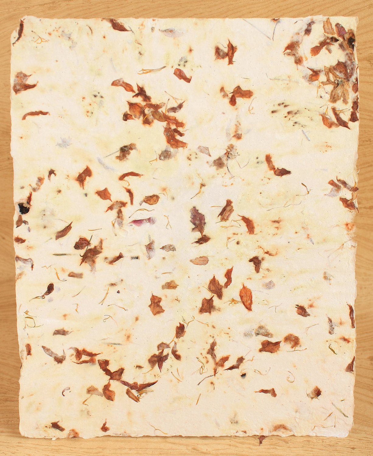 buffalo spring paper cream full sheet.jpg