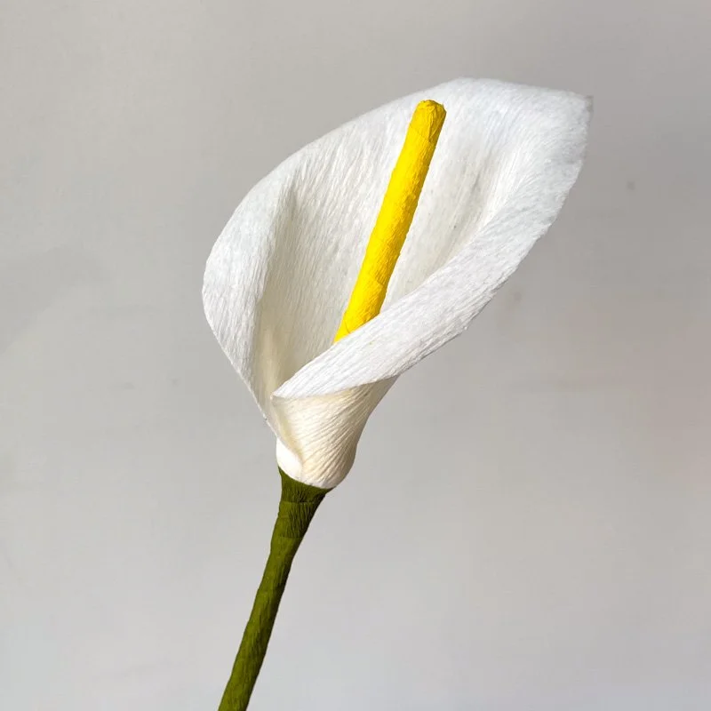 CALLA LILY CREPE PAPER FLOWER — PAPERCRAFT MIRACLES LLC