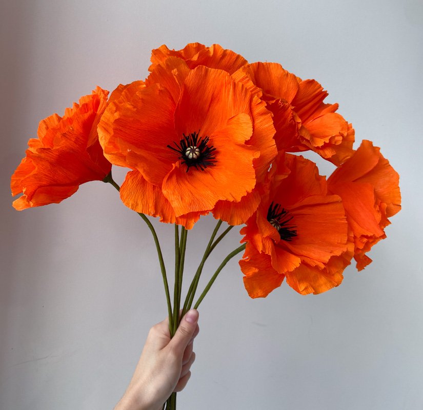 ORANGE POPPIES.jpg